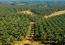 Pemkab Kubar Usulkan HGU Tak Produktif Kembalikan untuk Rakyat